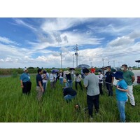 土壤碳匯驗證方法及實作