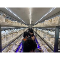 未來農場貨櫃種植模式應用介紹 -銥光農業