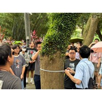 測量校園樹木生長與計算碳吸存量