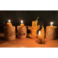 農林產業應用產品實作