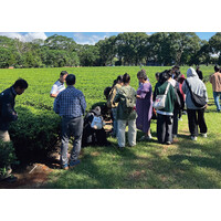 茶業改良場-茶葉發展與產業加工茶業改良場-茶葉發展與產業加工